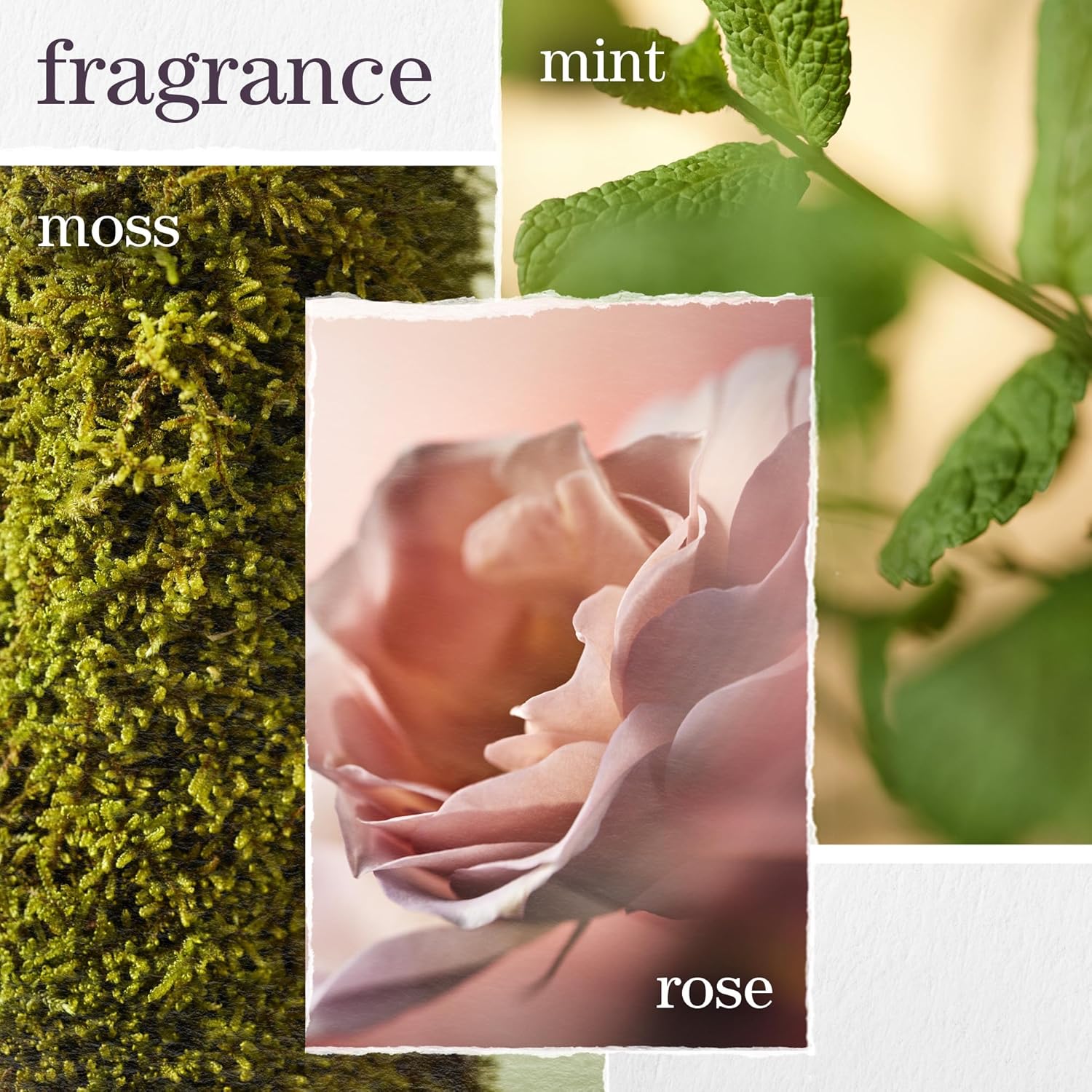 Pureology Hydrate Conditioner - For Dry or Color Treated Hair